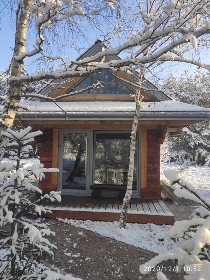 فيلا Białowieżaفي Swironek المظهر الخارجي الصورة