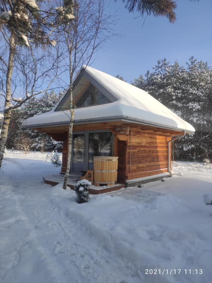 فيلا Białowieżaفي Swironek المظهر الخارجي الصورة